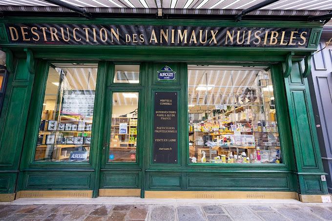 Aperçu produits boutique