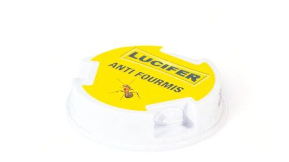 Maison Aurouze-Boite-anti-fourmis-Lucifer coté 2