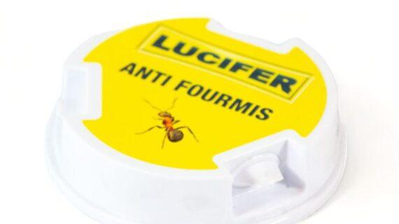 Maison Aurouze-Boite-anti-fourmis-Lucifer zoom