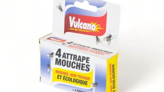 Maison Aurouze-Vulcano-attrape-mouches-boite