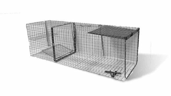 Piège à ragondin ouvert