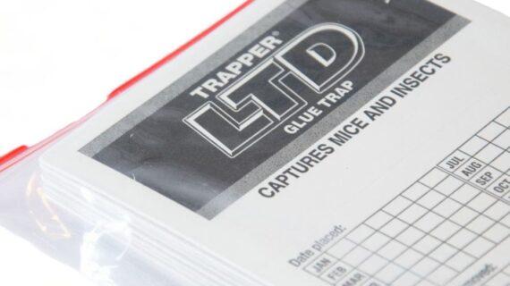 Maison Aurouze Plaque de glu Trapper LTD plaque