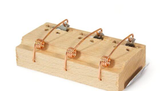 Maison Aurouze-Piège trois trous pour souris dos