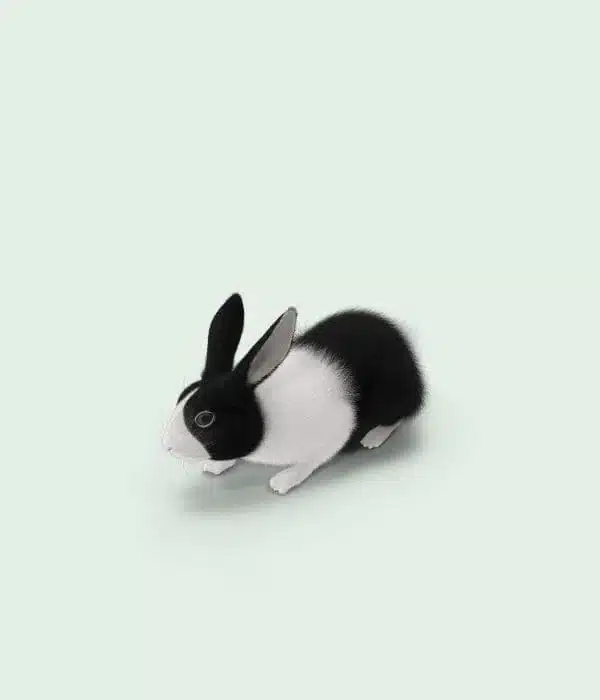 Lapins