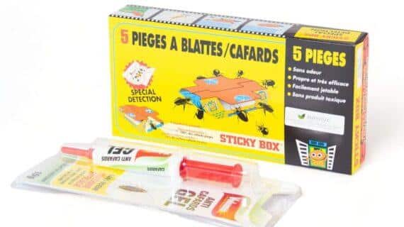 Maison Aurouze-Pack prévention blattes cafards