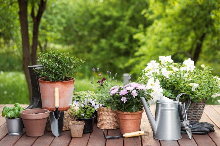 jardin extérieur maison bien entretenu