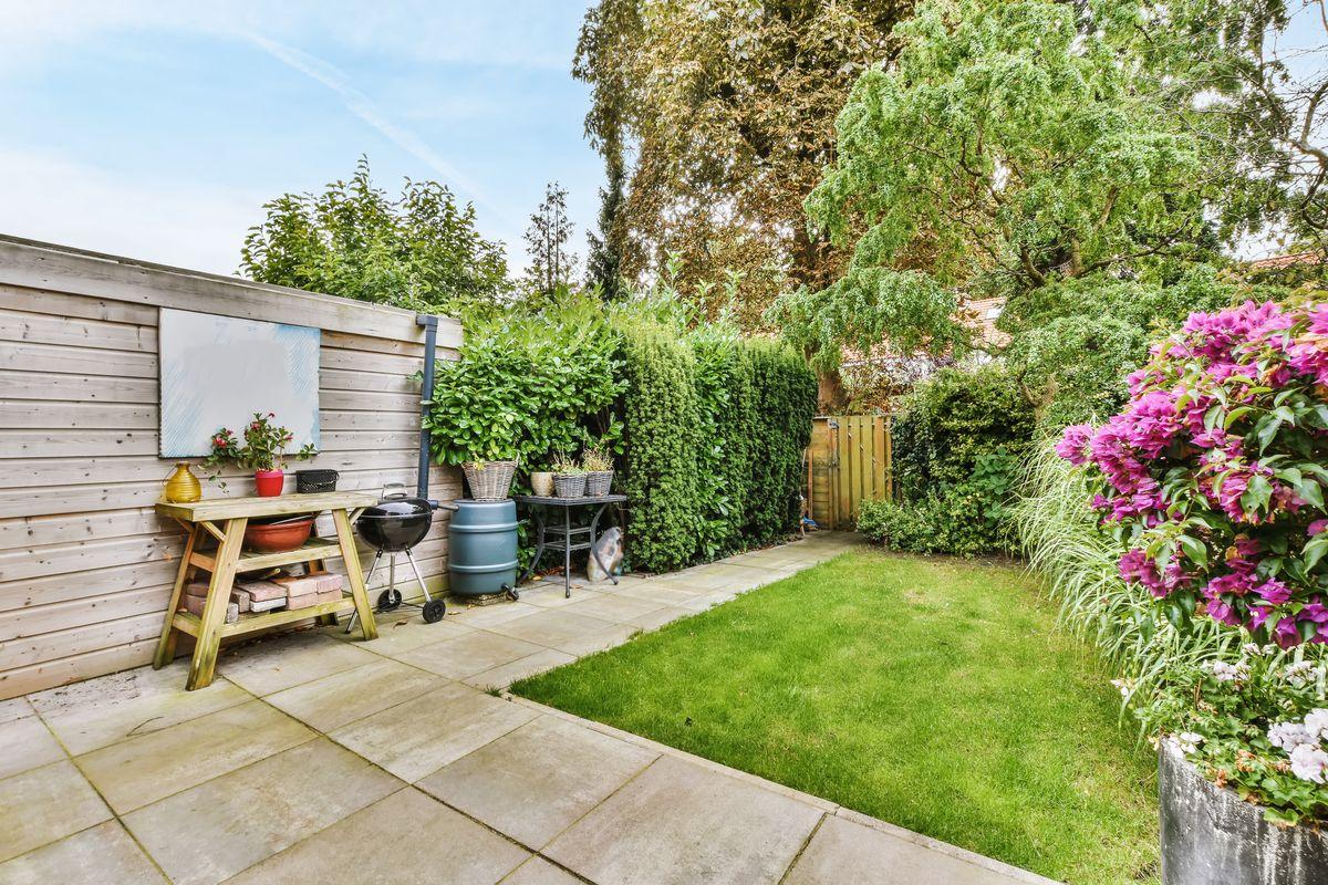 jardin propre sans nuisibles