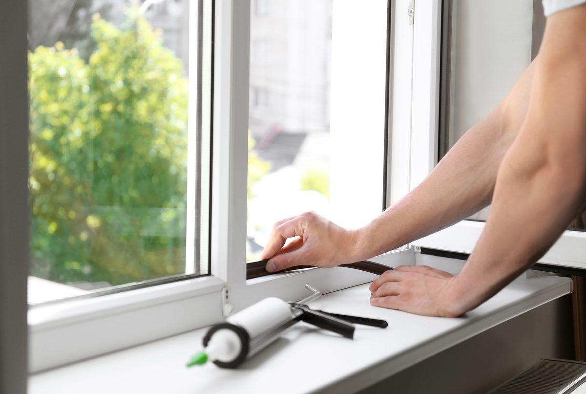 Joint mousse posé sur une fenêtre pour bloquer la coccinelle asiatique