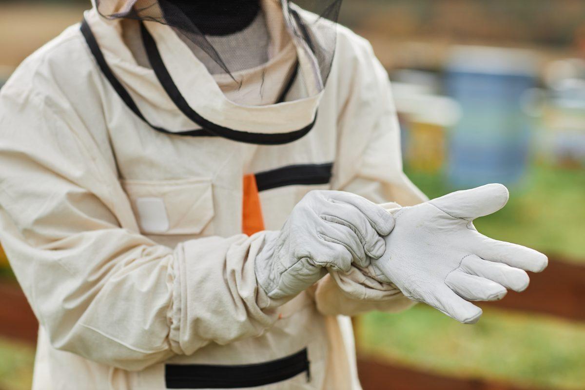 Équipement de protection pour retirer un nid de guêpes abandonné